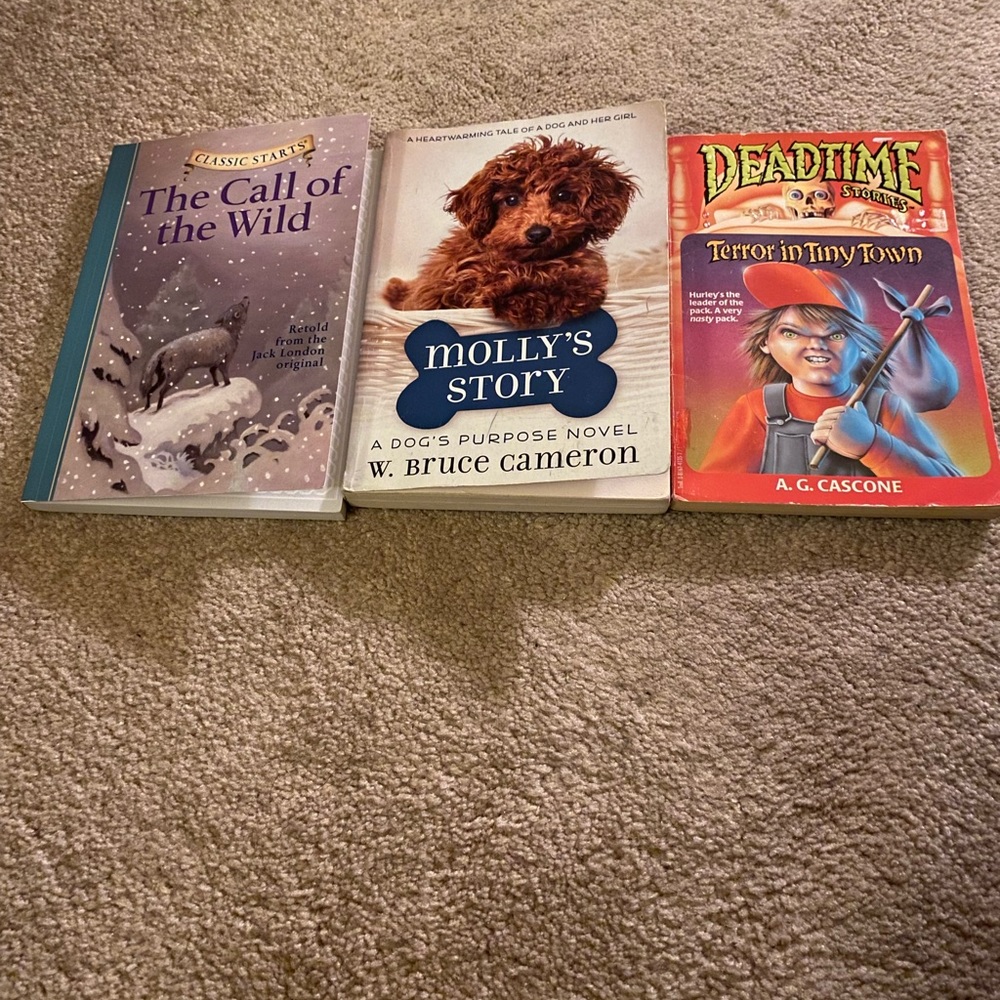 3 book bundle